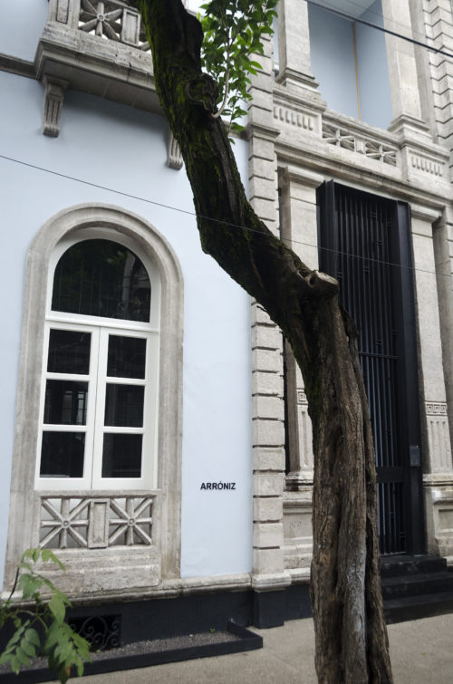 Arróniz Arte Contemporáneo