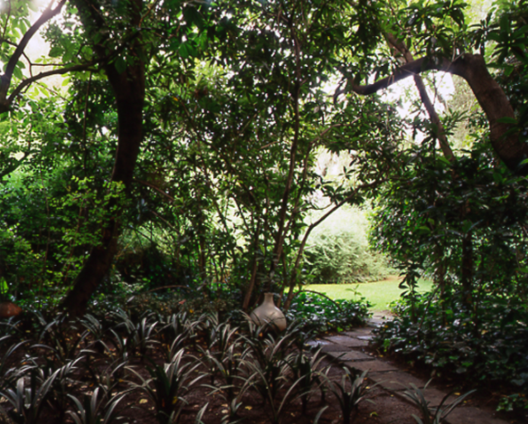 Archivo:Casa Barragan 07.png