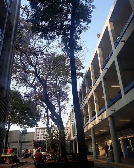 Archivo:PREPA 7 1.jpg