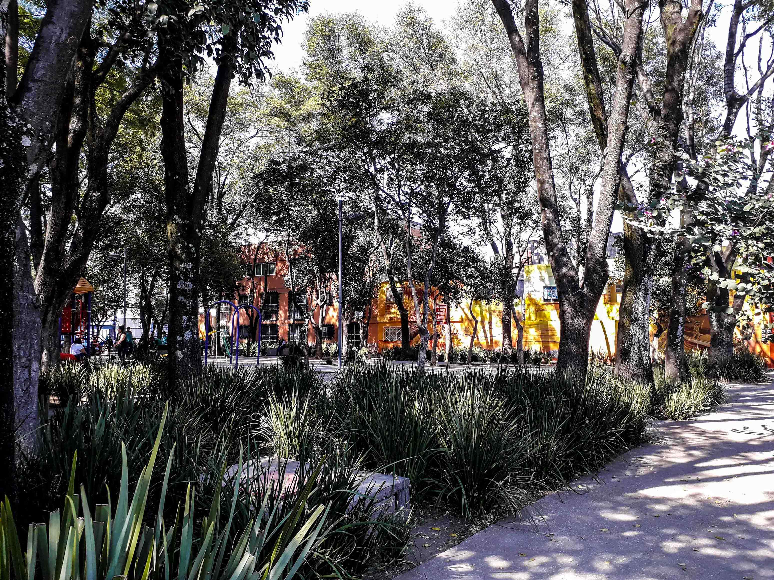 Parque San Lucas