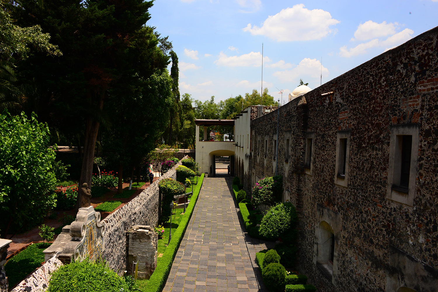 Museo Nacional de las intervenciones cdmx .jpg