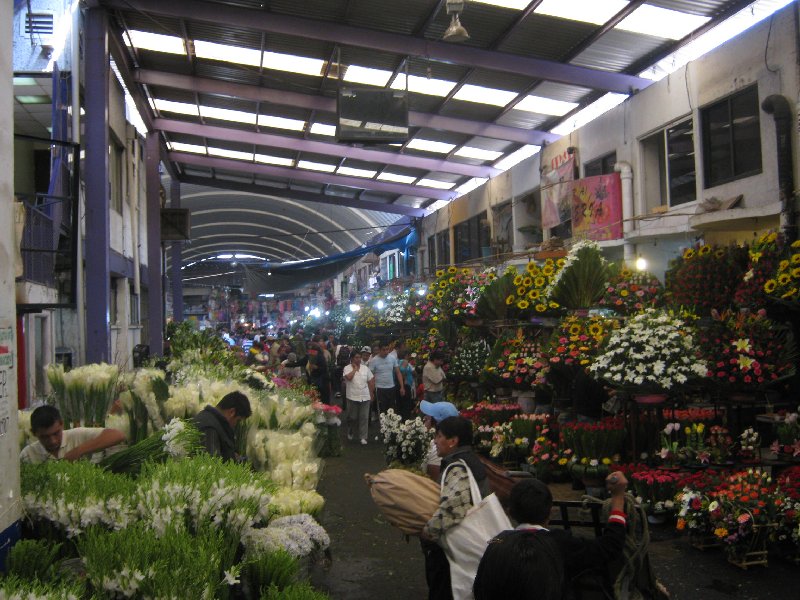 Mercado de Jamaica, ubicado en Guillermo Prieto 45