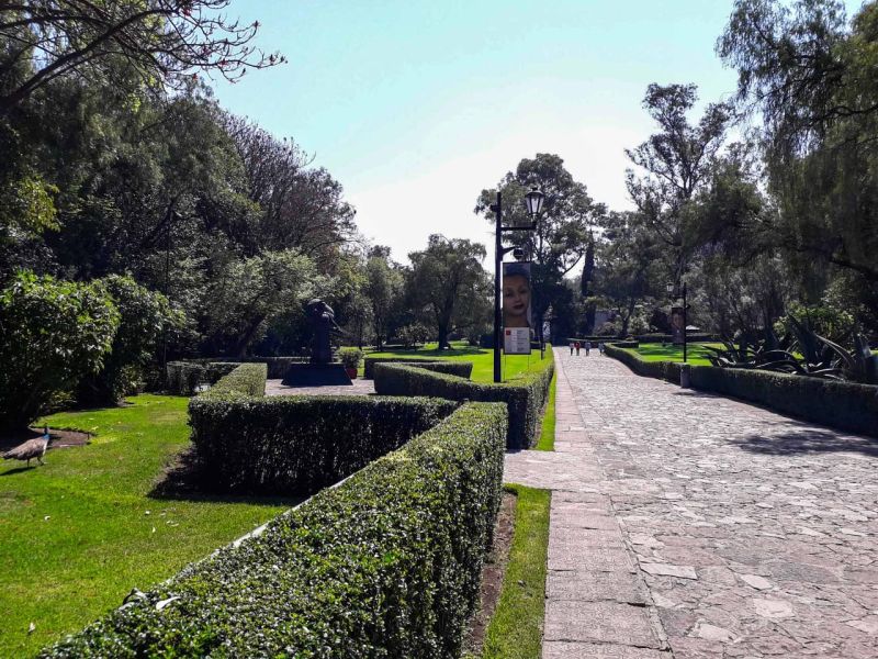 Archivo:Dolores Olmedo 12.jpg