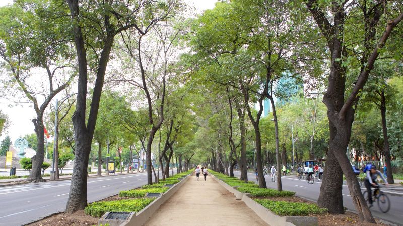 Archivo:American-PArk-en-Polanco.jpg