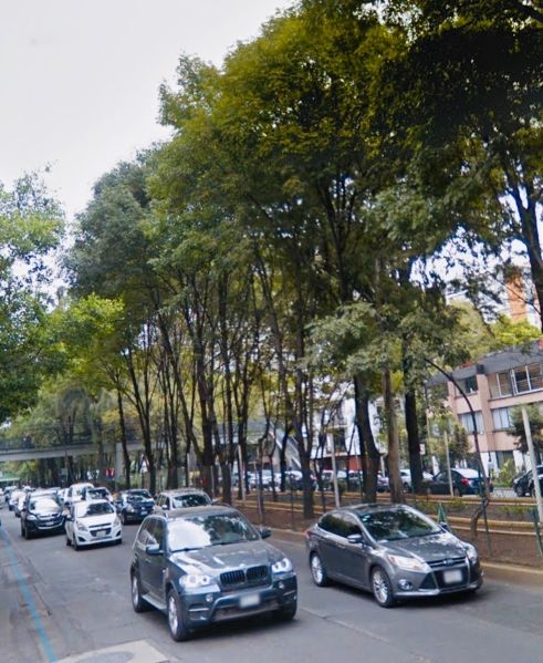 Archivo:Colonia Anáhuac Imagen.jpeg