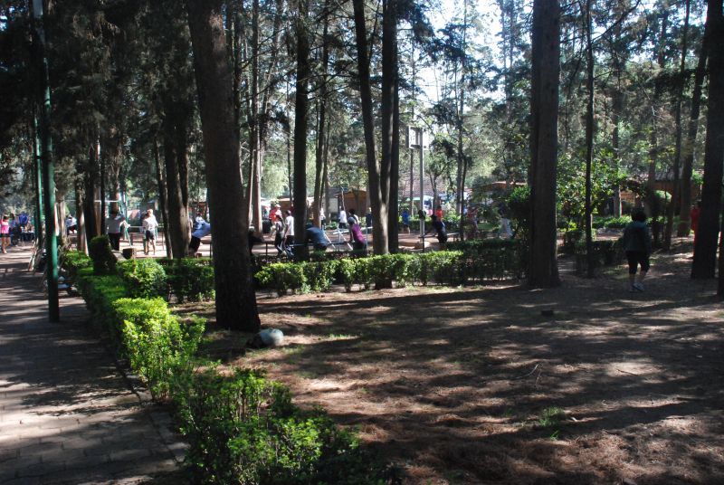 Archivo:Bosque Tlalpan 7.jpg