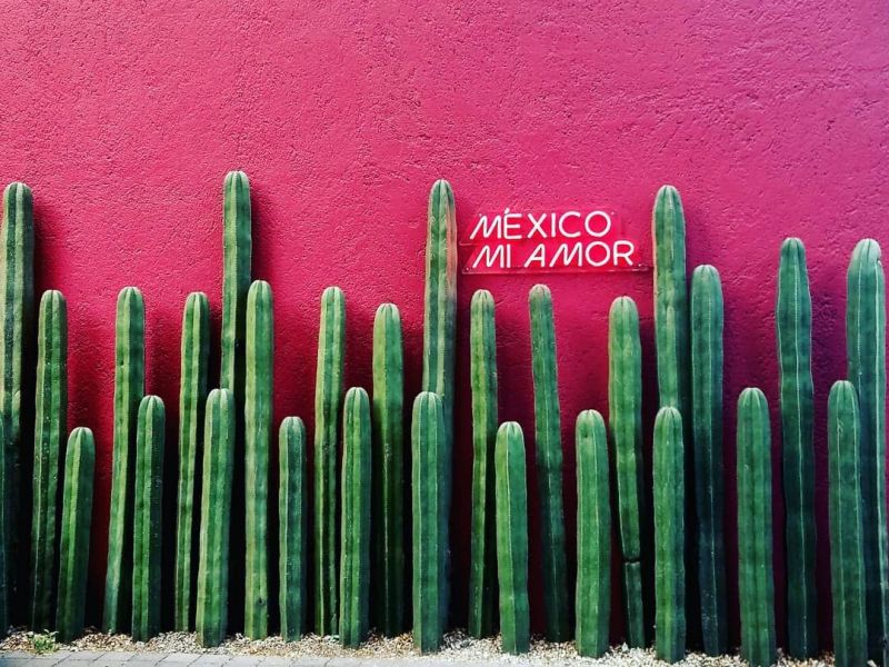 Archivo:México, mi amor.jpg