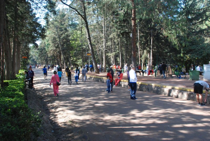 Archivo:Bosque Tlalpan 4.jpg