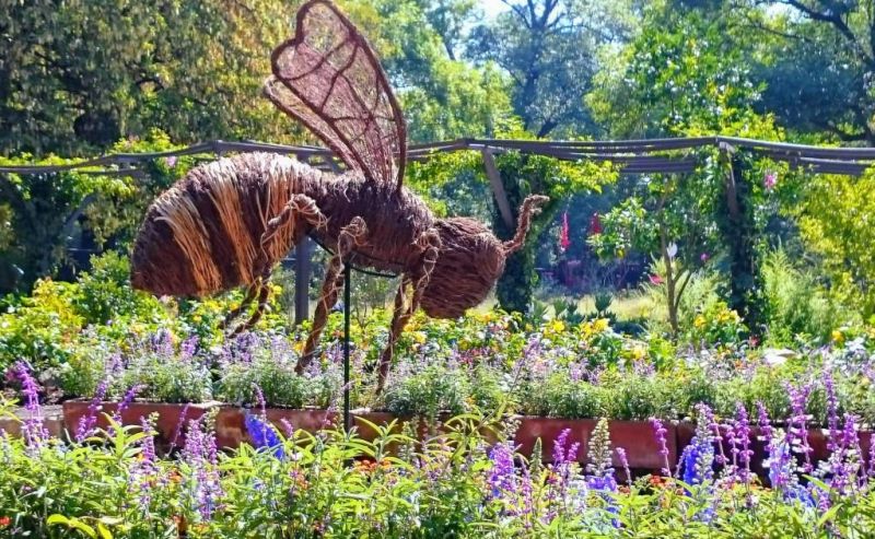 Archivo:Chapultepec cdmx jardin botanico.jpg
