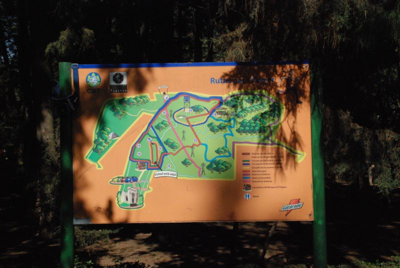 Archivo:Bosque Tlalpan 2.jpg