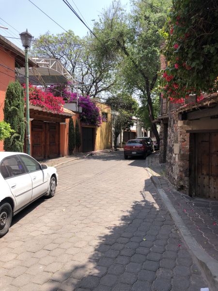Archivo:Calle Tlalaxco.jpg