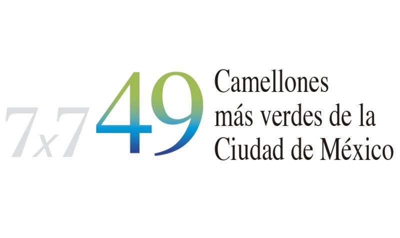 Archivo:49 camellones.jpg