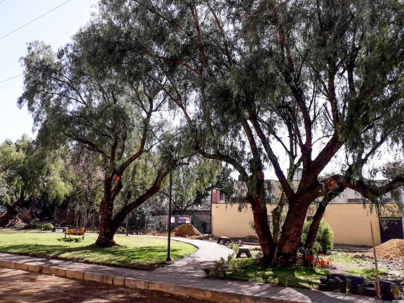 Archivo:Calle Camino Real.jpg