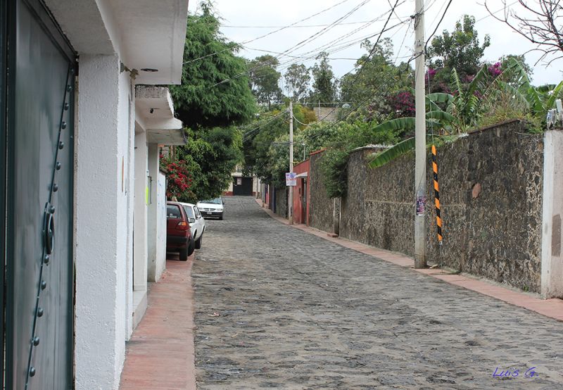 Archivo:Pueblo Tepepan CDMX.jpeg