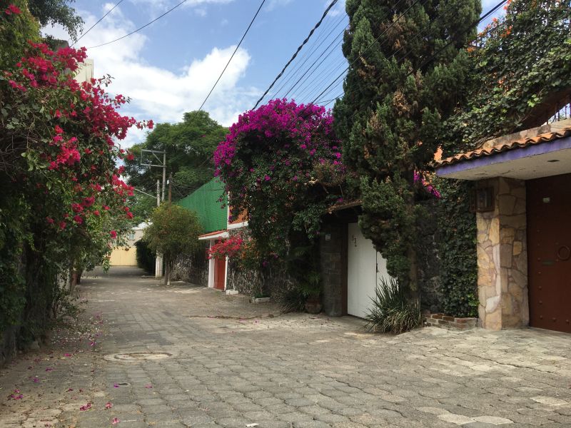 Archivo:Pueblo Santa Úrsula Calle.JPG
