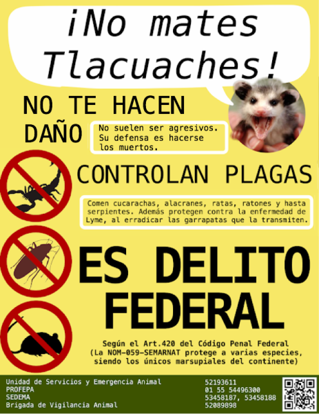 Archivo:PROTECCIÓN ANIMAL.png