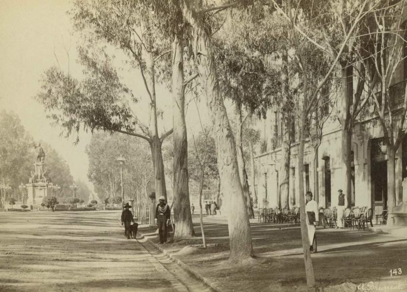 Archivo:Zona Rosa.jpg