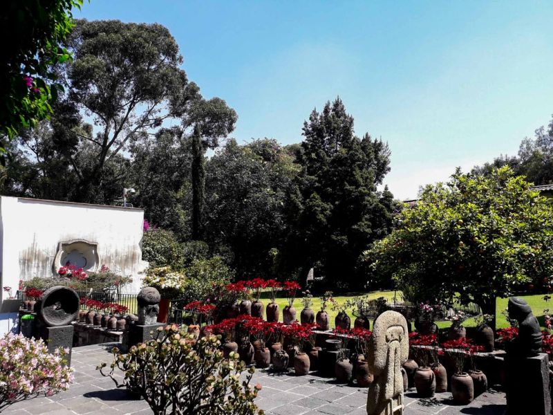 Archivo:Dolores Olmedo 05.jpg