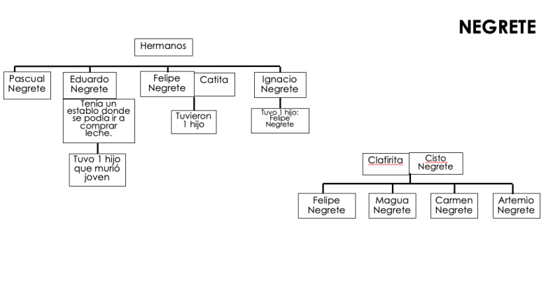 Archivo:Arbol Negrete.png