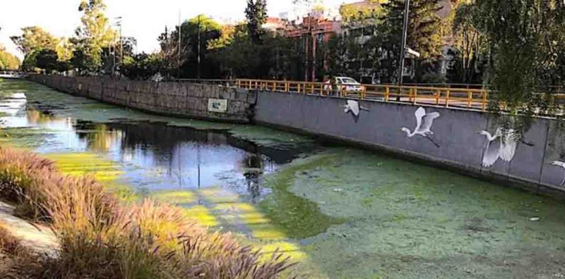 Archivo:Canal nacional.jpg