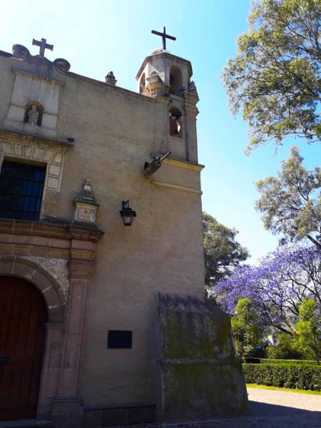 Archivo:Dolores Olmedo 19.jpg