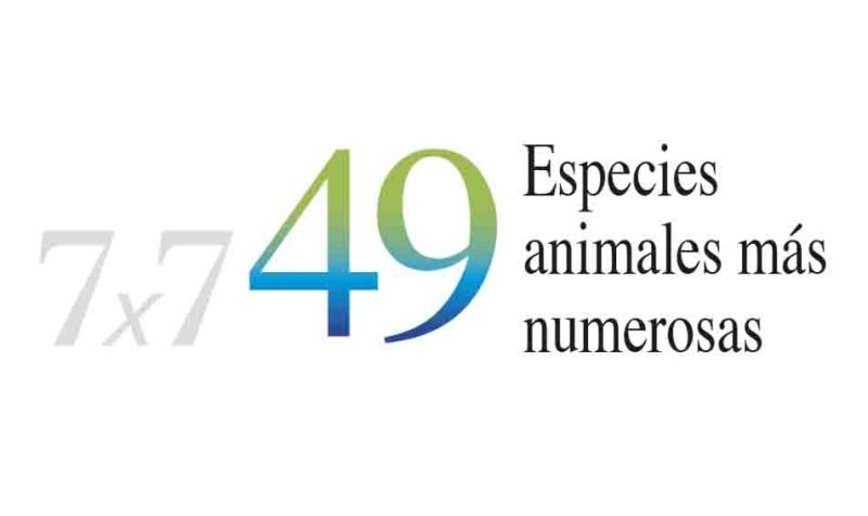 Archivo:49 especies.jpg