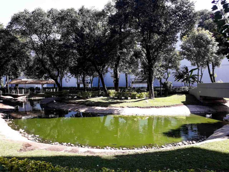 Archivo:Town Center Rosario..jpg