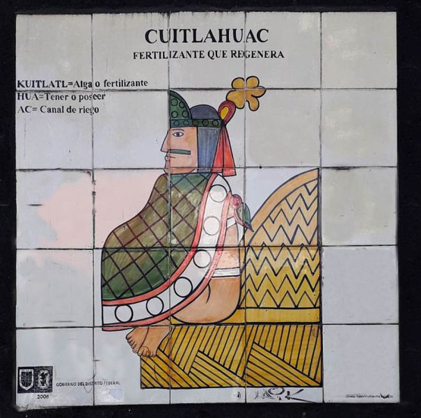 Archivo:Mosaico Popotla.jpg