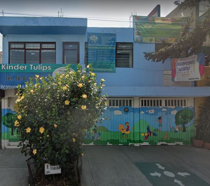 Archivo:Kinder Tulip´s.jpeg