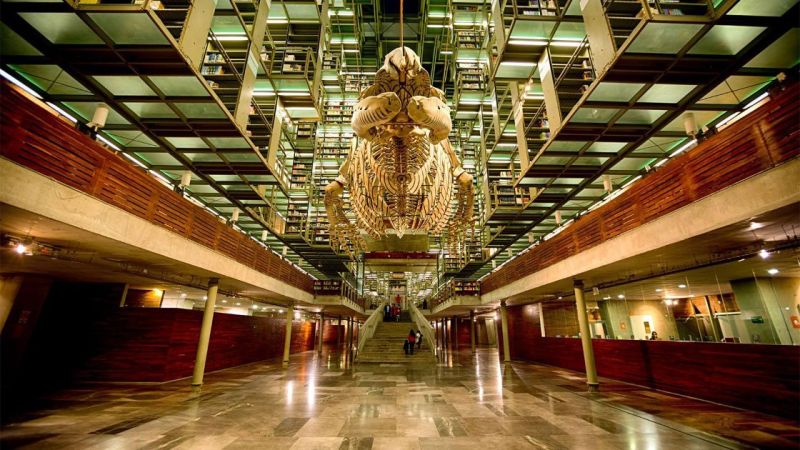 Archivo:Biblioteca Vasconcelos Primera PArte.jpg