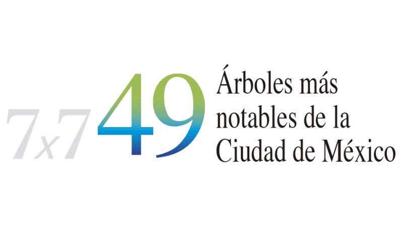 Archivo:49 árboles.jpg
