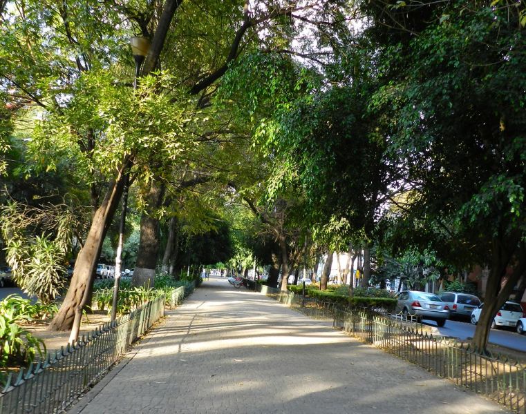 Archivo:Avenida Mazatlán.jpg