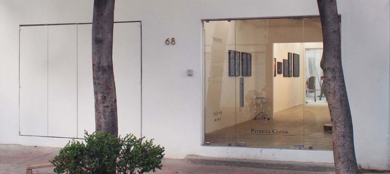 Archivo:Patricia Conde Galeria.jpeg