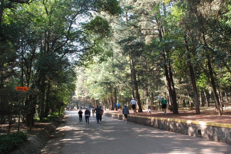 Archivo:Bosque Tlalpan 6.jpg