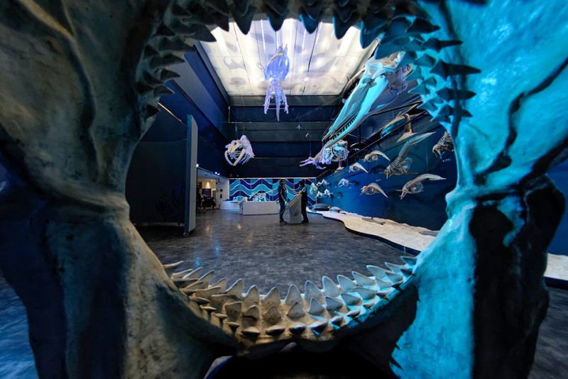 Archivo:Sala oceanos.jpg