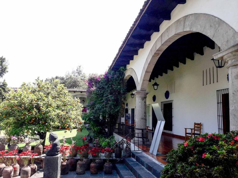 Archivo:Dolores Olmedo 06.jpg