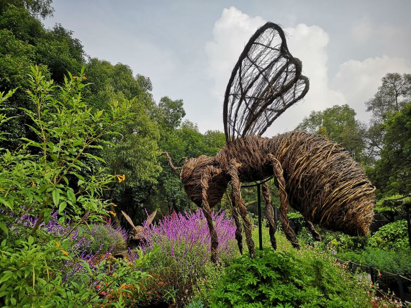 Archivo:Jardín Botánico de Chapultepec.jpg