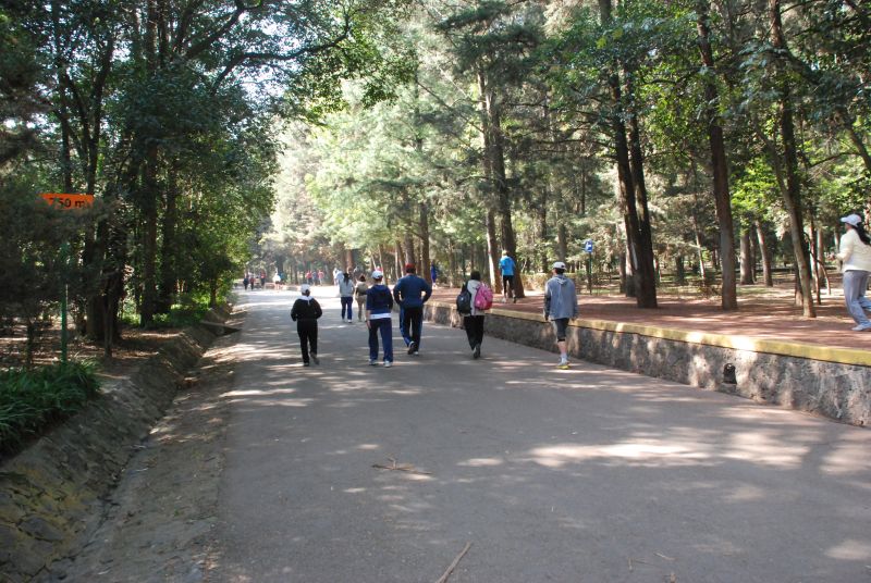 Archivo:Bosque Tlalpan 5.jpg
